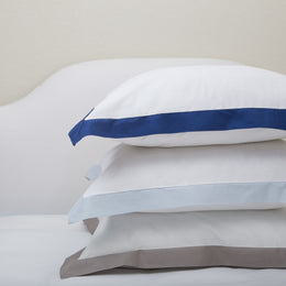 The Linden Light Blue Border