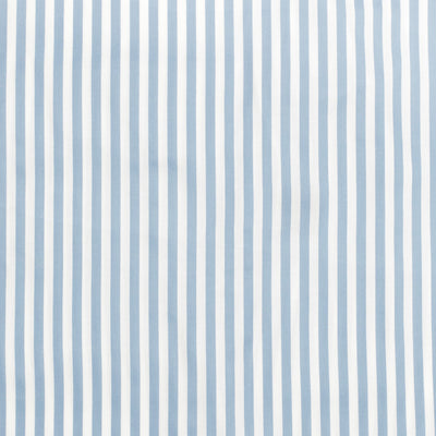 French Blue Striped Swatch