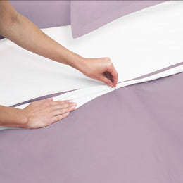 Lilac Hayes Nova Sham Pair