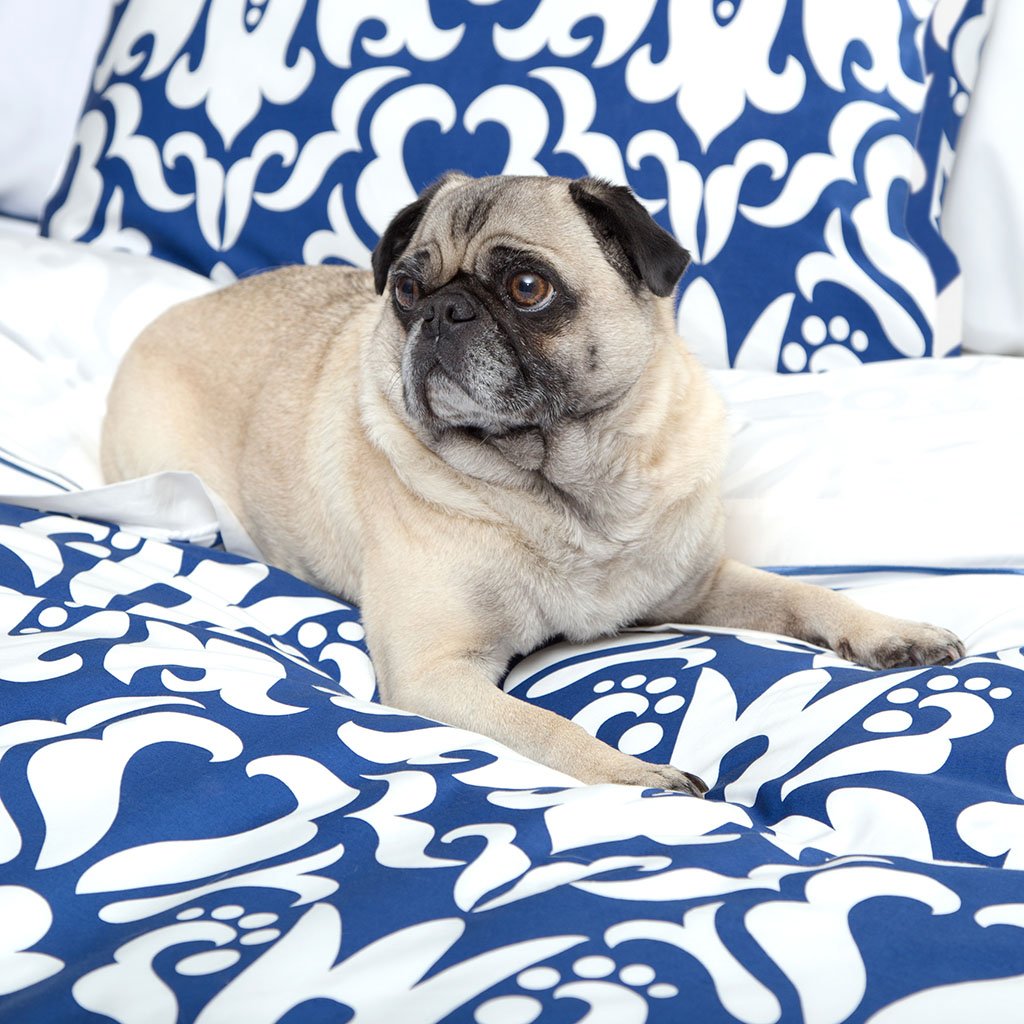 Cobalt Blue Montgomery Duvet Cover