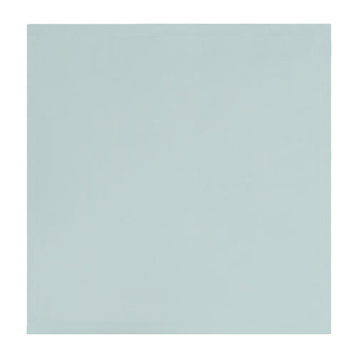 Porcelain Green Flange Euro Sham